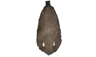 Peau de raie tannée